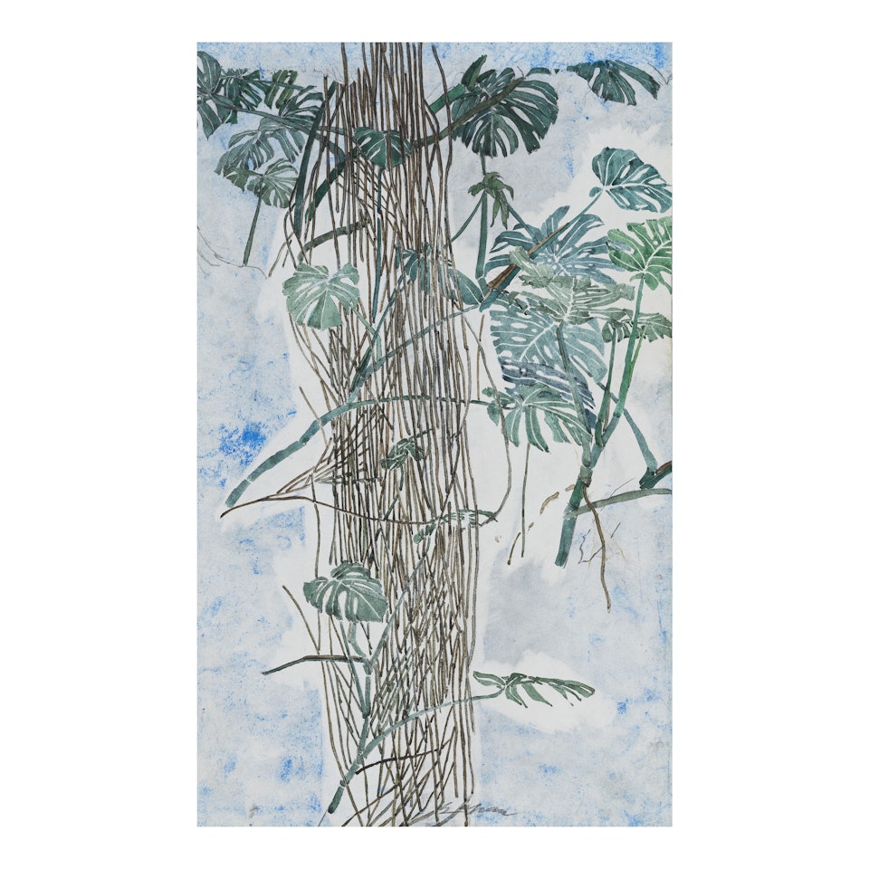 Plantes & lianes by Sam Szafran
