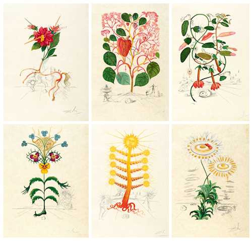 Flordali (Flora Dalinae) by Salvador Dali