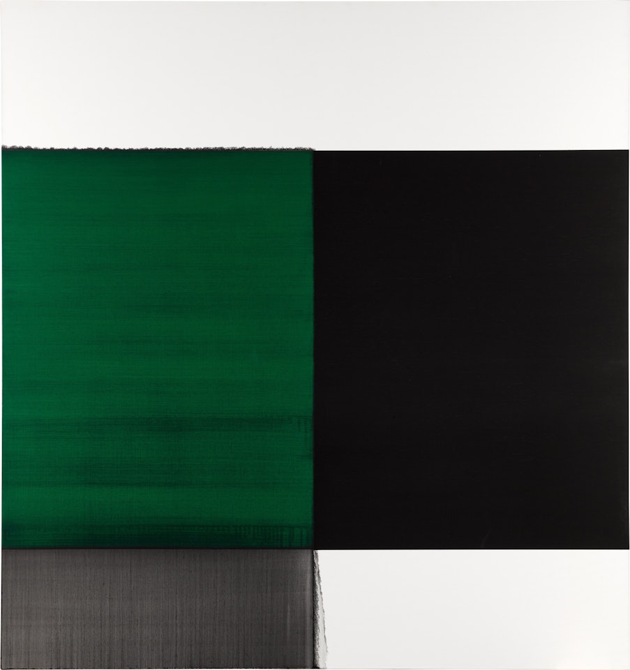 Exposed Painting (Veronese Green) by Callum Innes