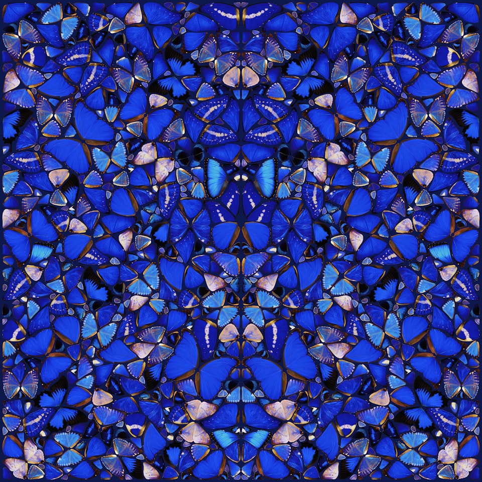 Mercy, from The Aspects (H6-1) by Damien Hirst