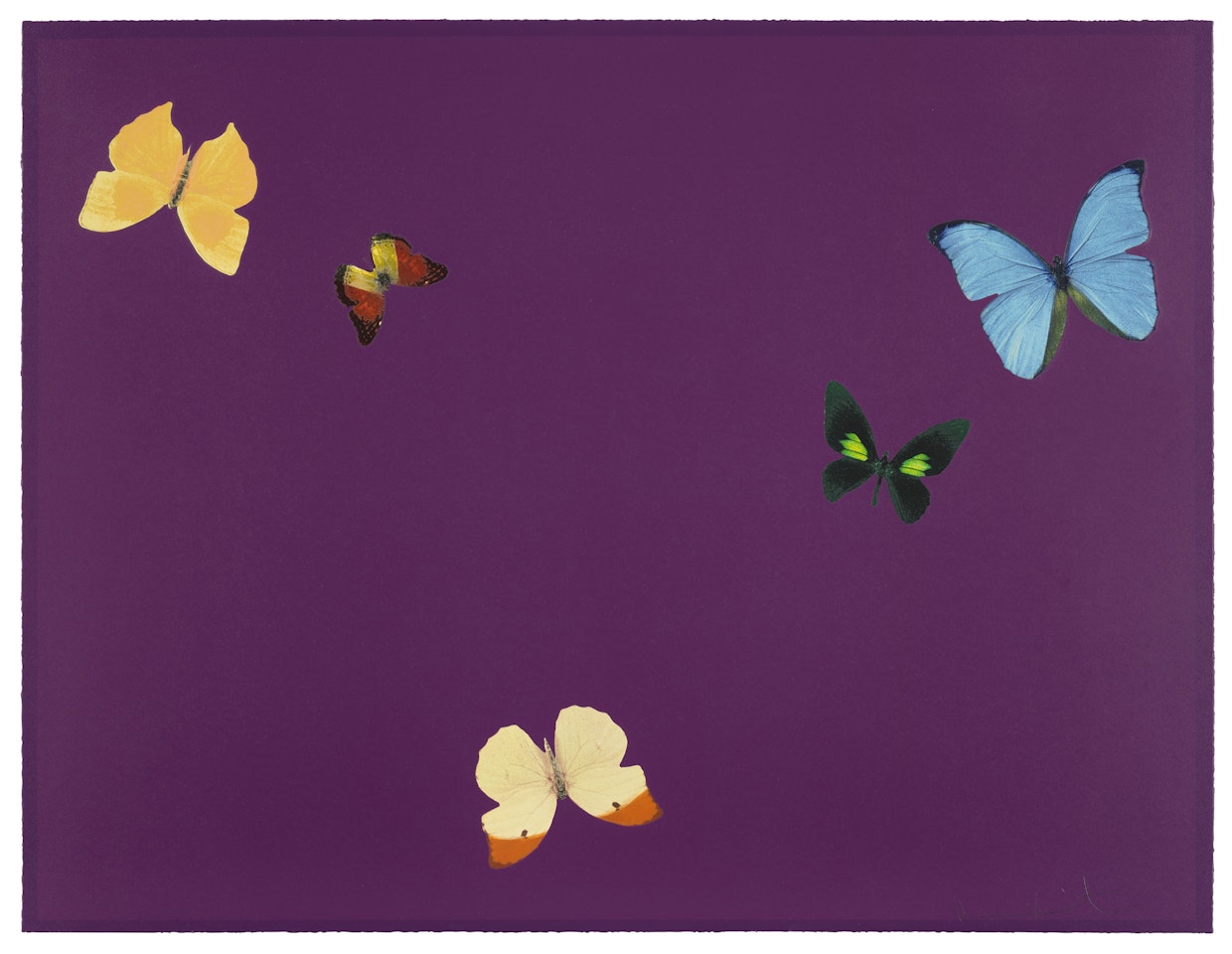 Be Thoughtful, from Lessons in Love by Damien Hirst