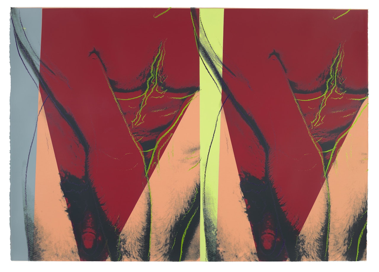 Torso (Double) (see F. & S. IIIA.35) by Andy Warhol