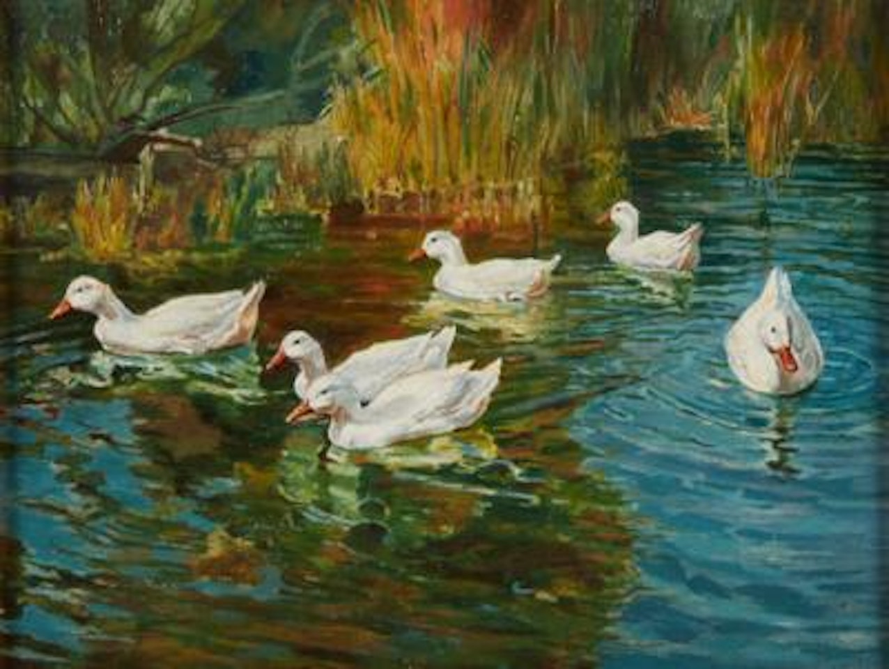 Enten am Teich by Alexander Koester