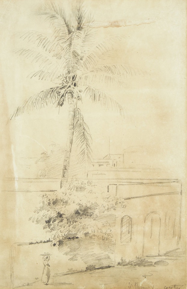 Cocotier (Saint Thomas) by Camille Pissarro