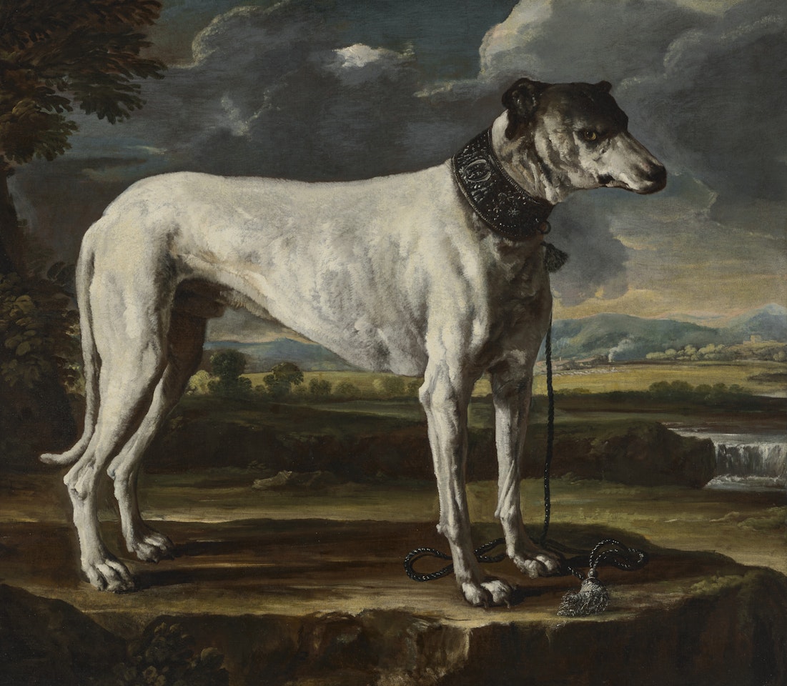 A hound in a landscape by Michele Pace del Campidoglio