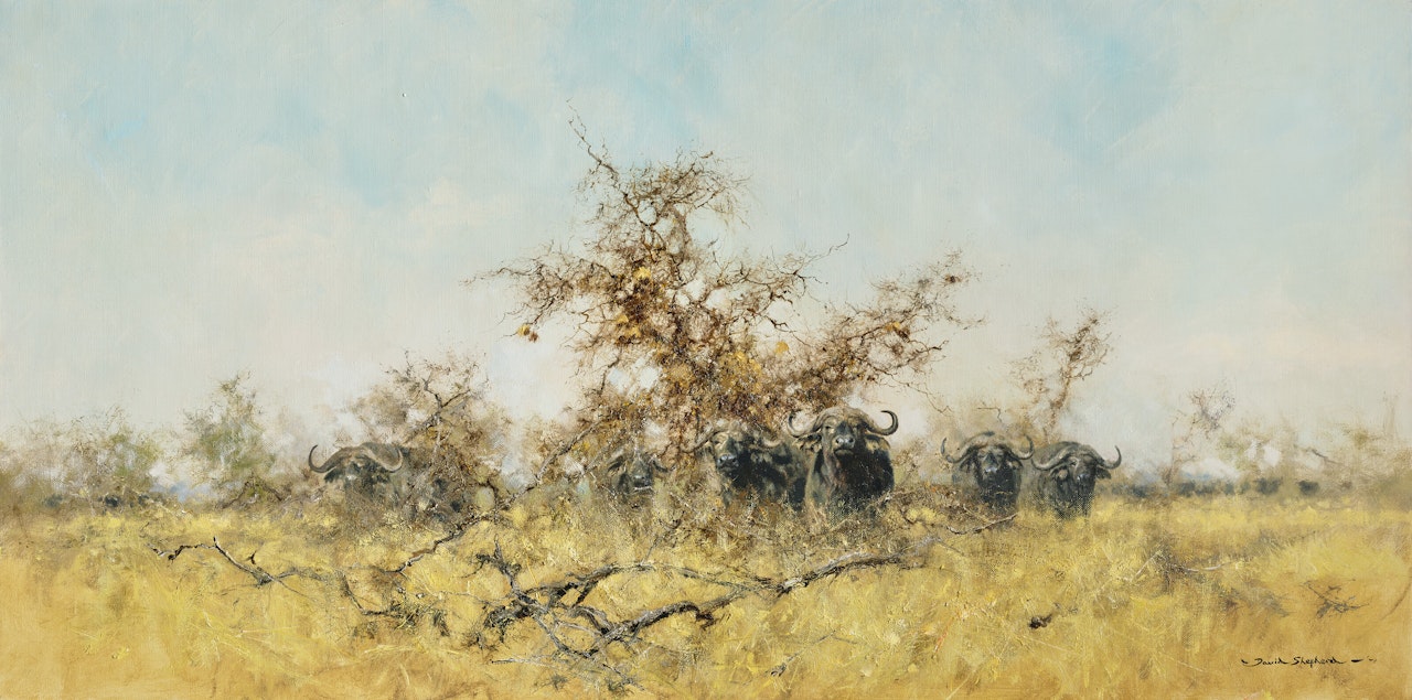 Suspicion by David Shepherd
