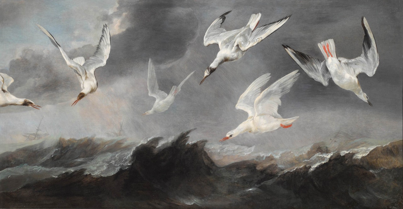 A flock of terns and seagulls above stormy seas by Paul de Vos
