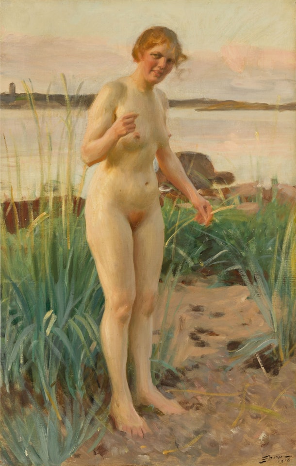Småländska (Girl from Småland) by Anders Zorn