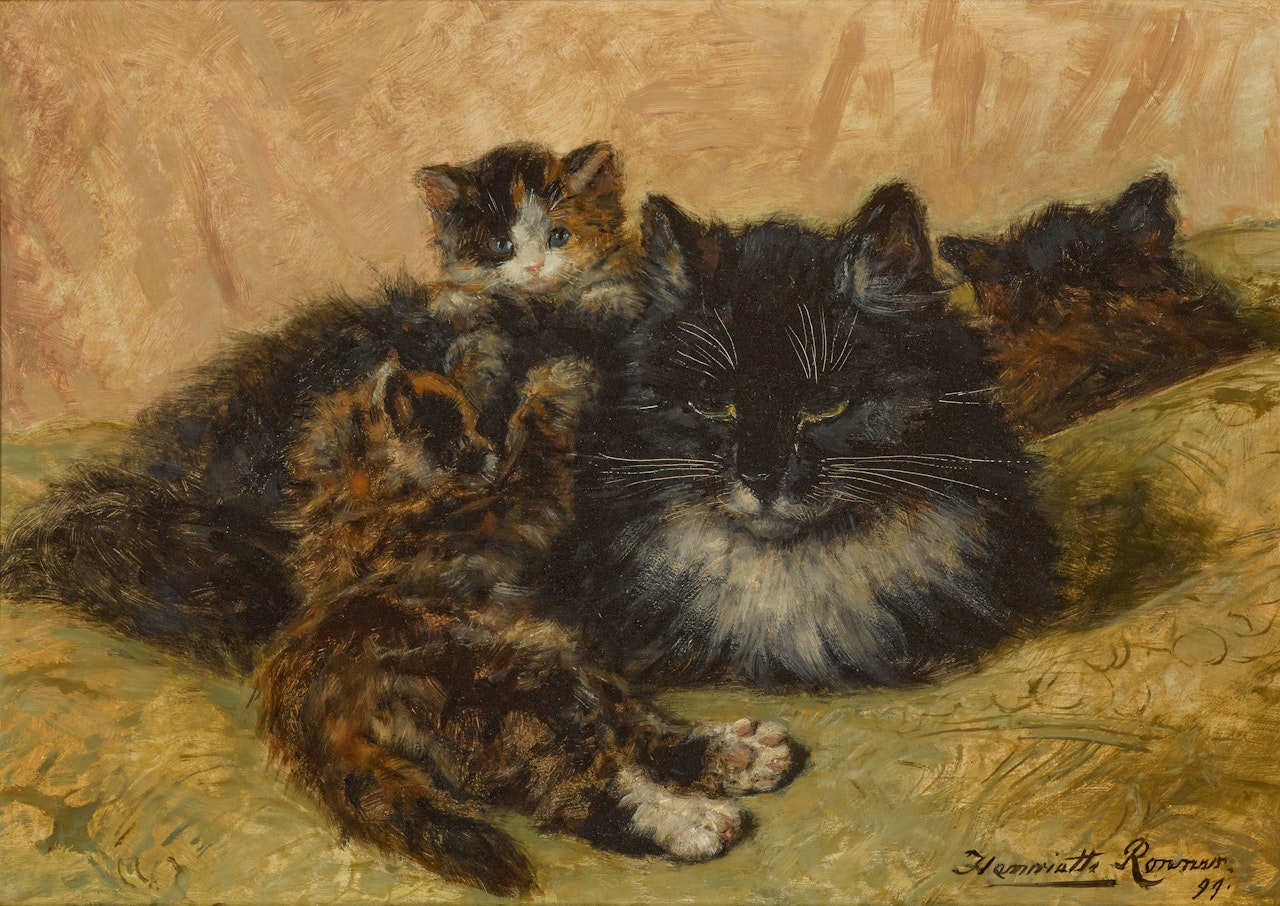 A gentle provocation by Henriette Ronner-Knip