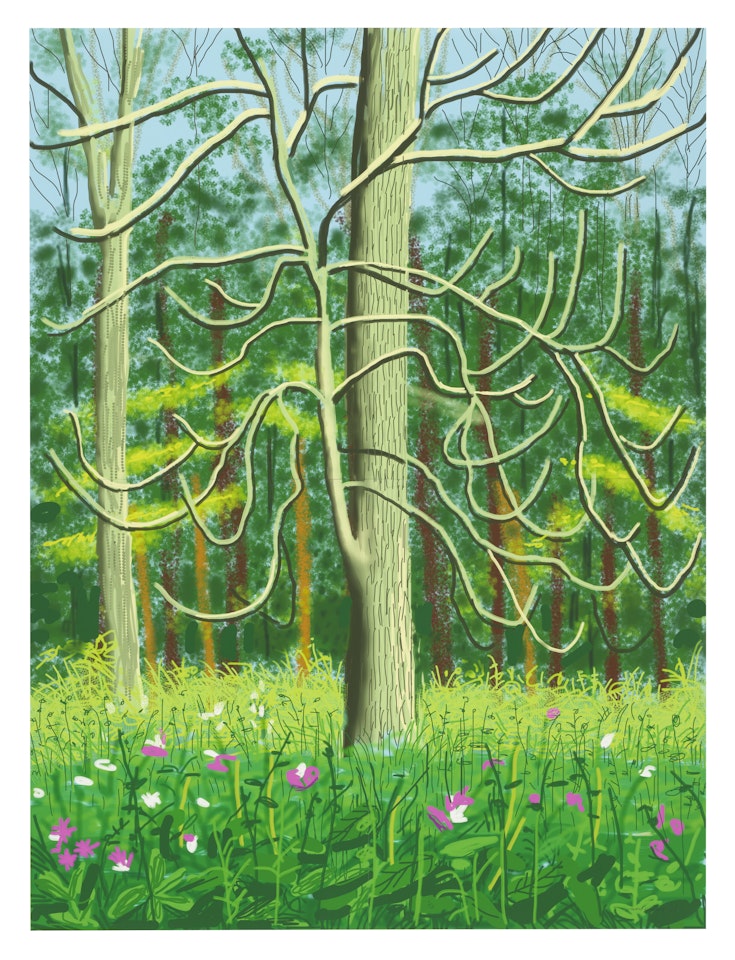 The Arrival of Spring in Woldgate, East Yorkshire in 2011 (twenty eleven) - 4 May by David Hockney