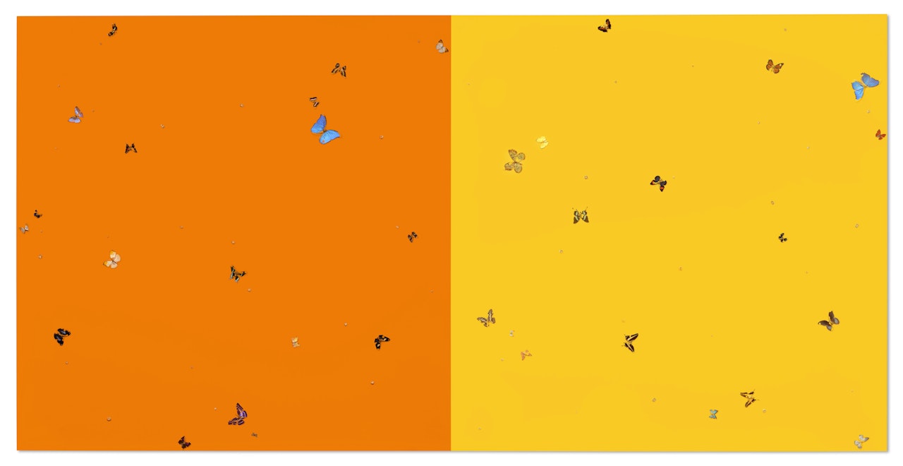 Oranges and Lemons by Damien Hirst