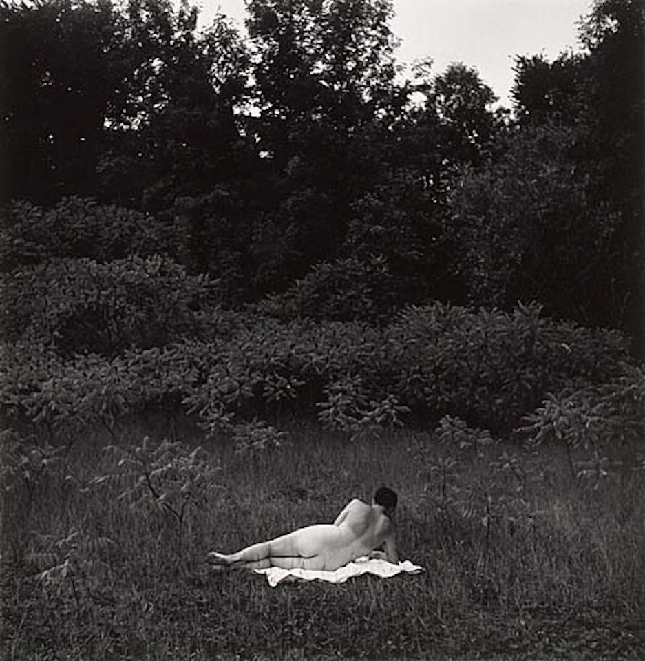 Eleanor, Port Huron by Harry Callahan