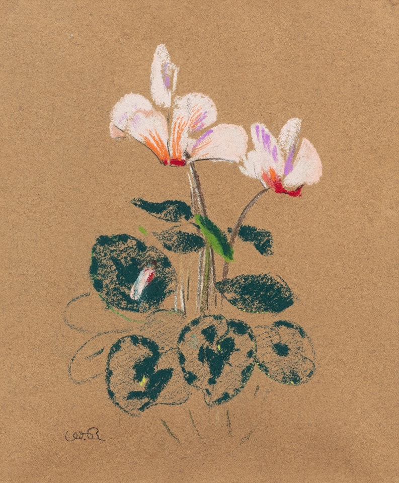 Cyclamen by Odilon Redon