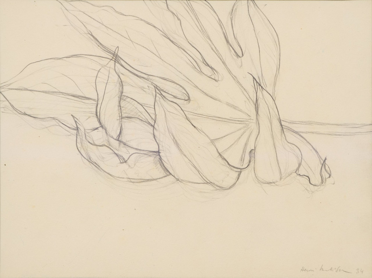 Étude de feuille by Henri Matisse