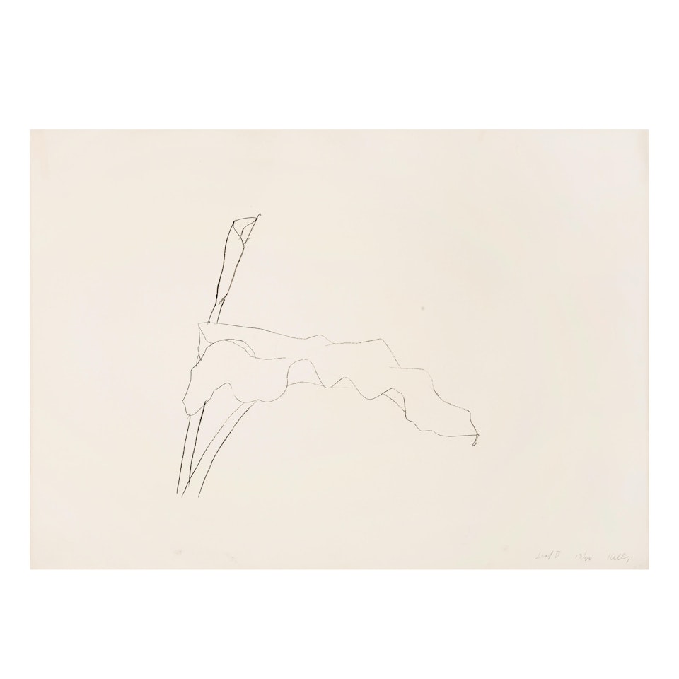 Leaf IV, from Twelve Leaves (Axsom 169, Gemini 806) by Ellsworth Kelly
