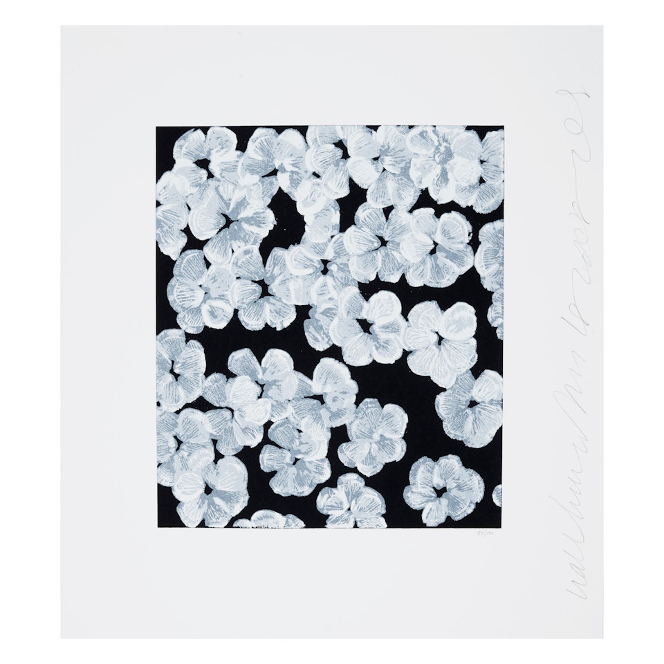 Wallflower 8; Wallflower 35, from the Wallflower Suite by Donald Sultan