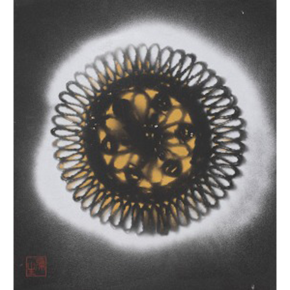 Pistils and Stamens by Yayoi Kusama