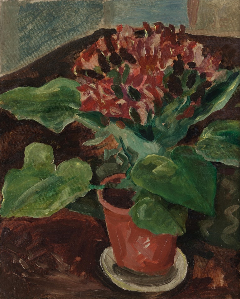 A Cineraria in a Pot on a Table by Augustus Edwin John
