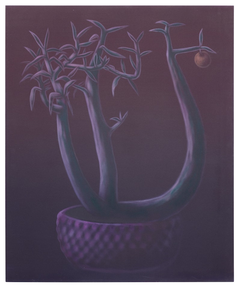 Red Lime Tree by George Rouy