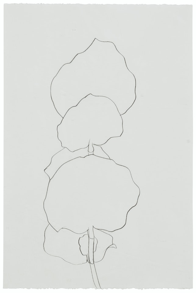 Beach Plant by Ellsworth Kelly