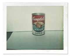 Campbell"s Soup Can (Wonton Soup)
