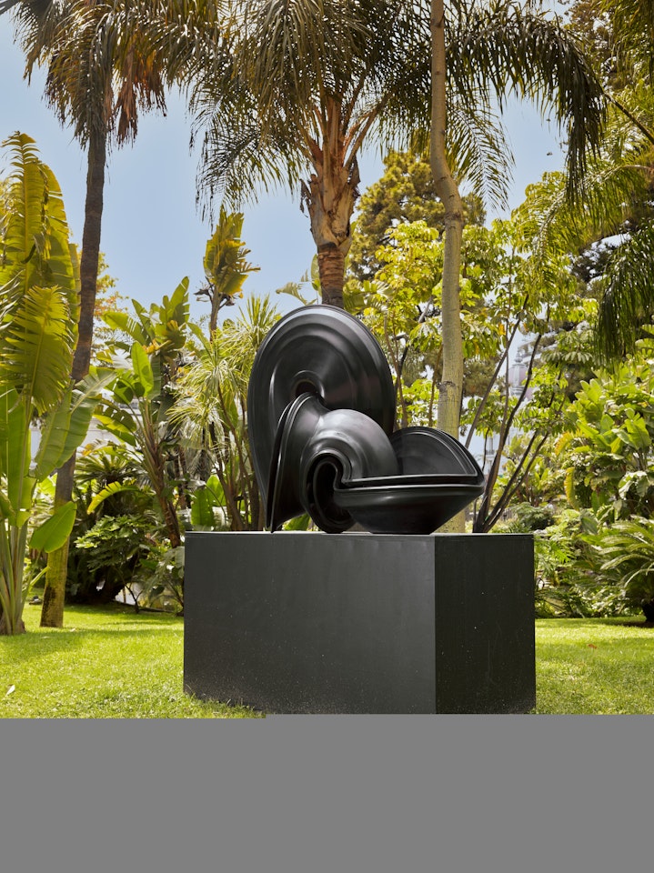 McCormack by Tony Cragg