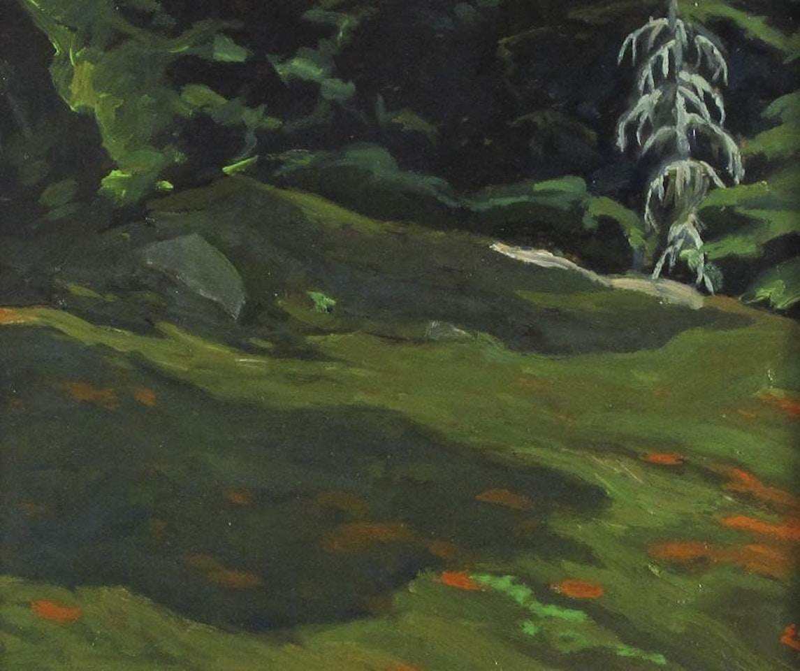 Dead spruce, laurentians by Edwin Headley Holgate