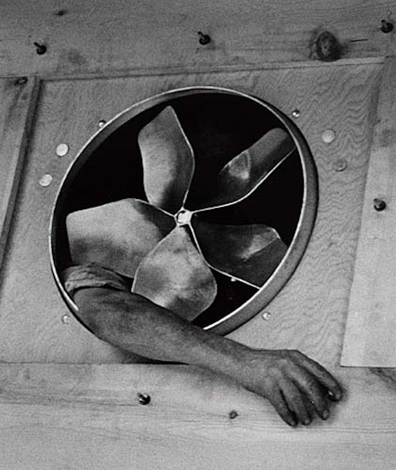 Fan by André Kertész