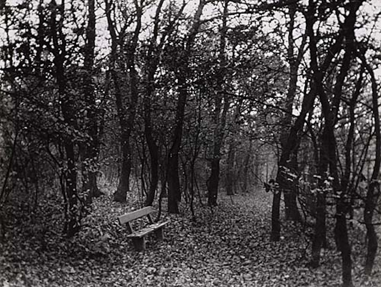 "People's Park," Budapest by André Kertész