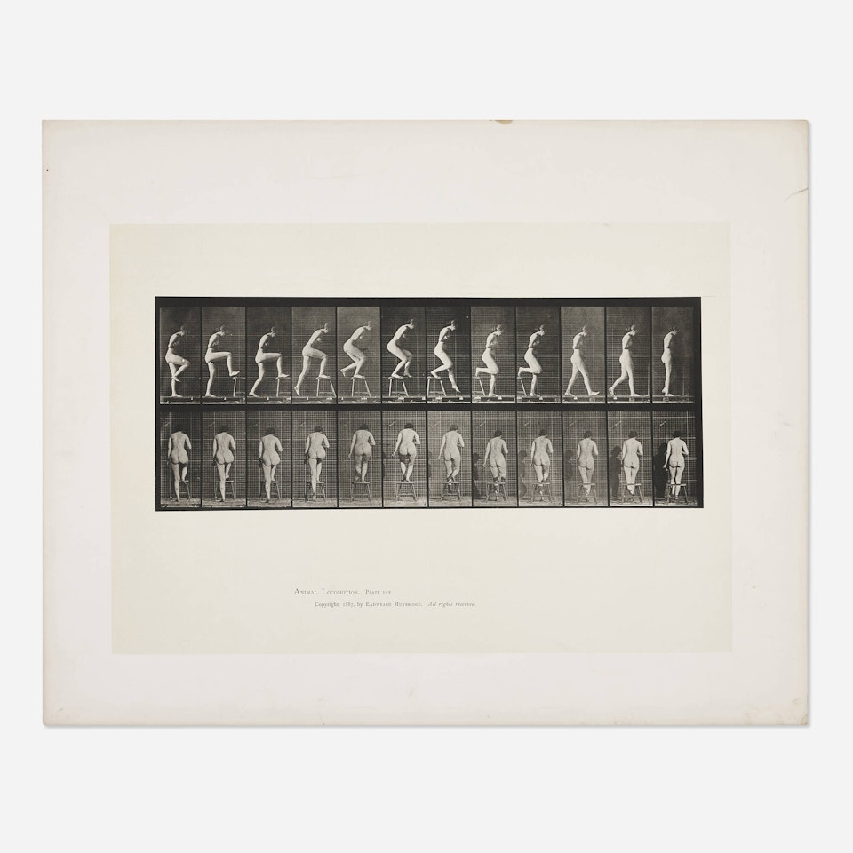 Plate 180 (from the Animal Locomotion series) by Eadweard Muybridge