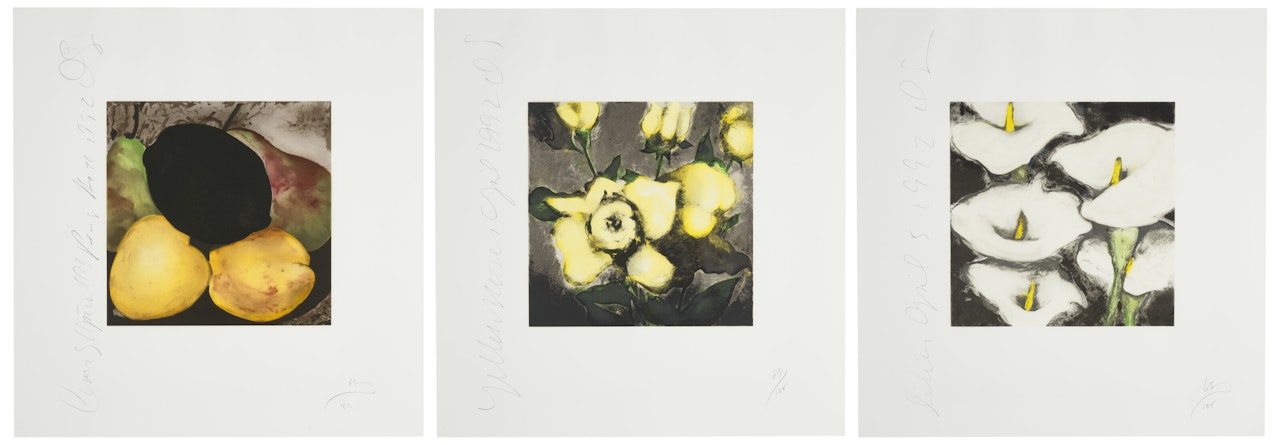 Fruits and Flowers II: three prints; Fruits and Flowers II: three prints by Donald Sultan
