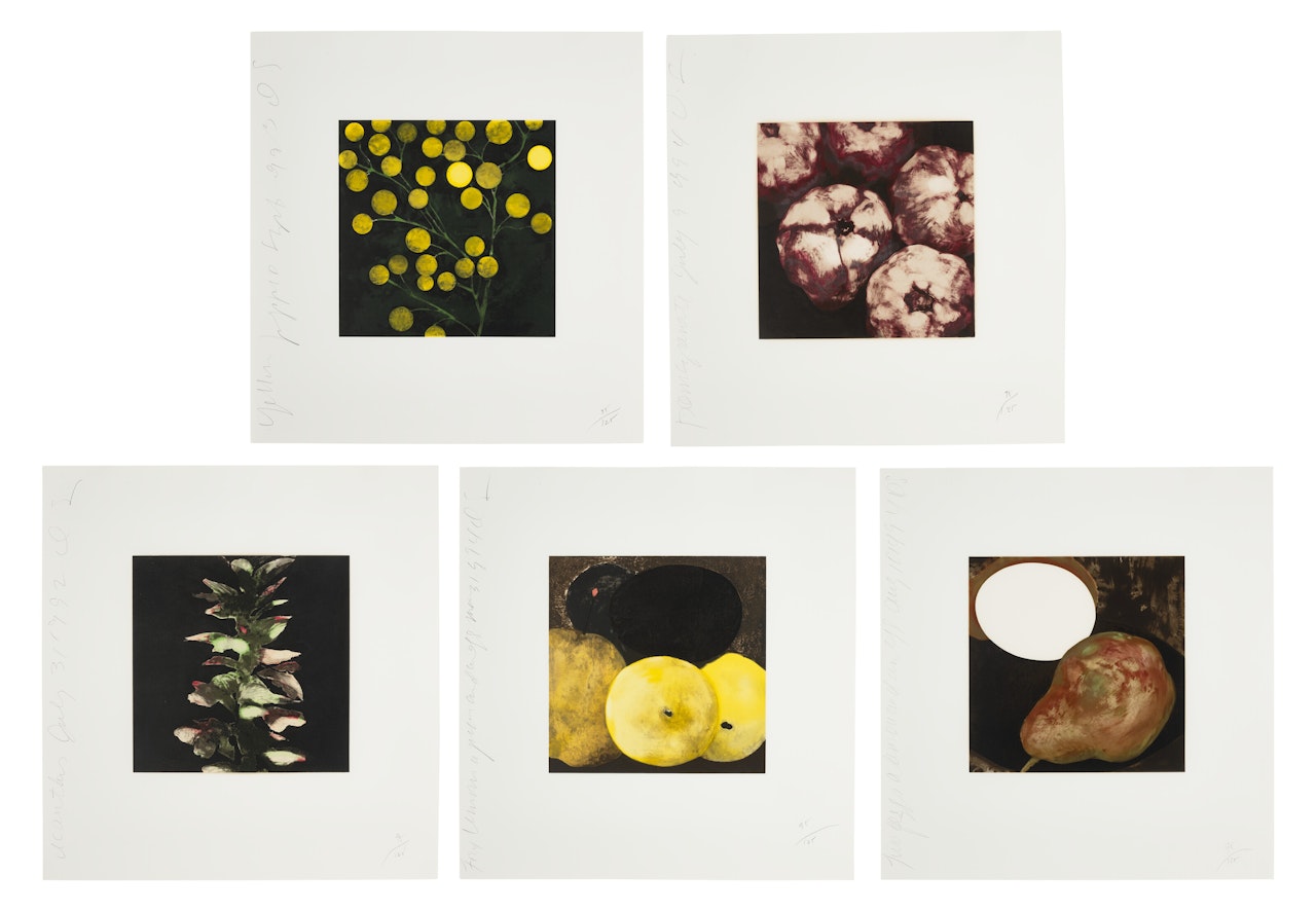 Fruits & Flowers III; Fruits & Flowers III by Donald Sultan