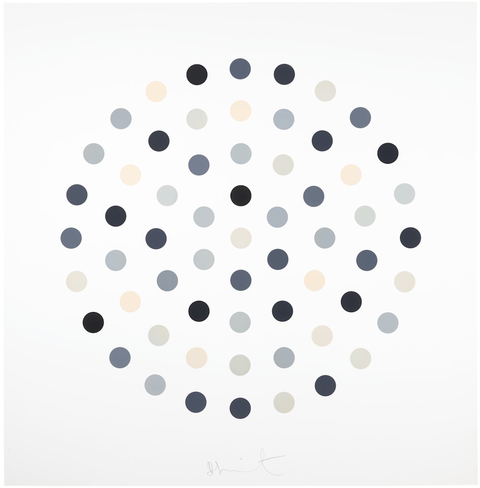 Cinchonidine by Damien Hirst
