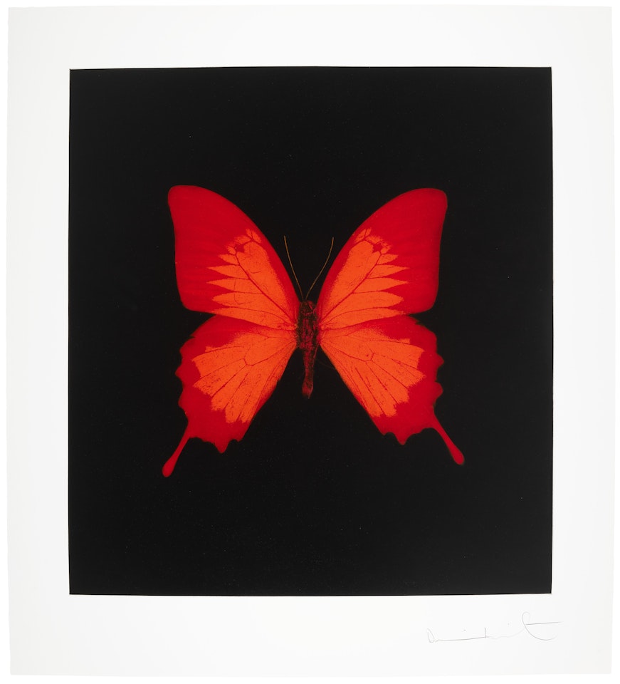 The Souls on Jacob"s Ladder Take Their Flight: one print; The Souls on Jacob"s Ladder Take Their Flight : one print by Damien Hirst