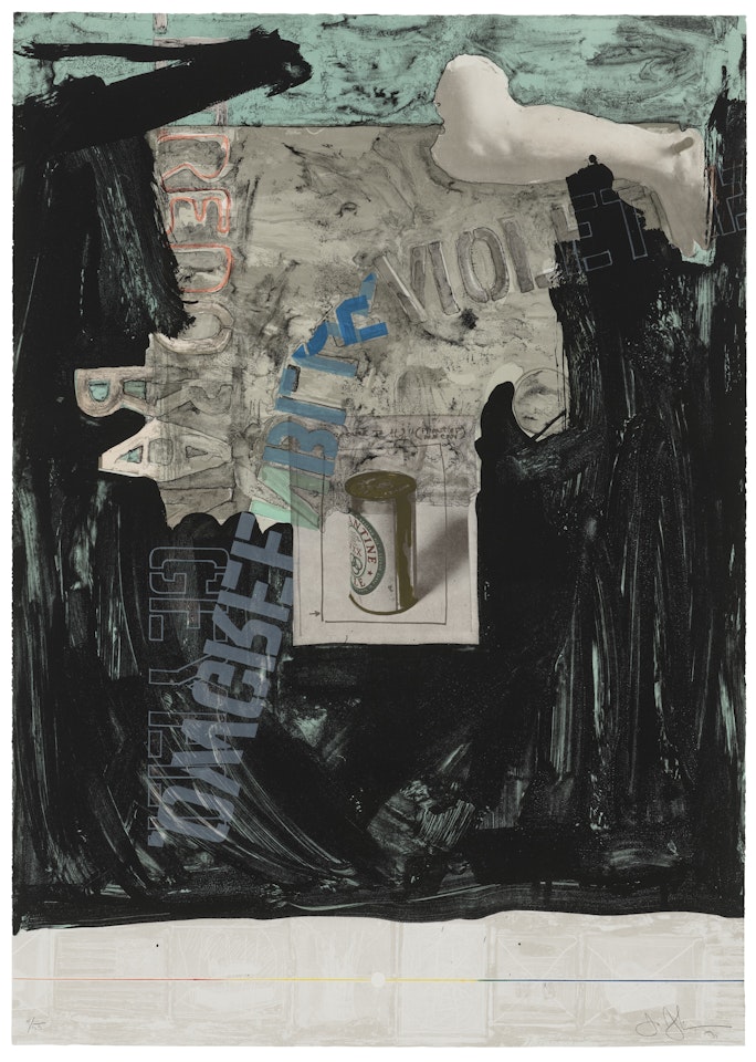 Decoy by Jasper Johns