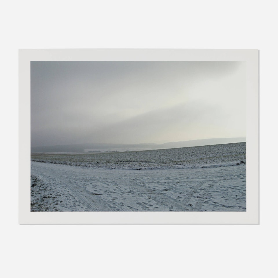 Odenwald (from the Elton John AIDS Foundation Photography Portfolio I) by Thomas Struth