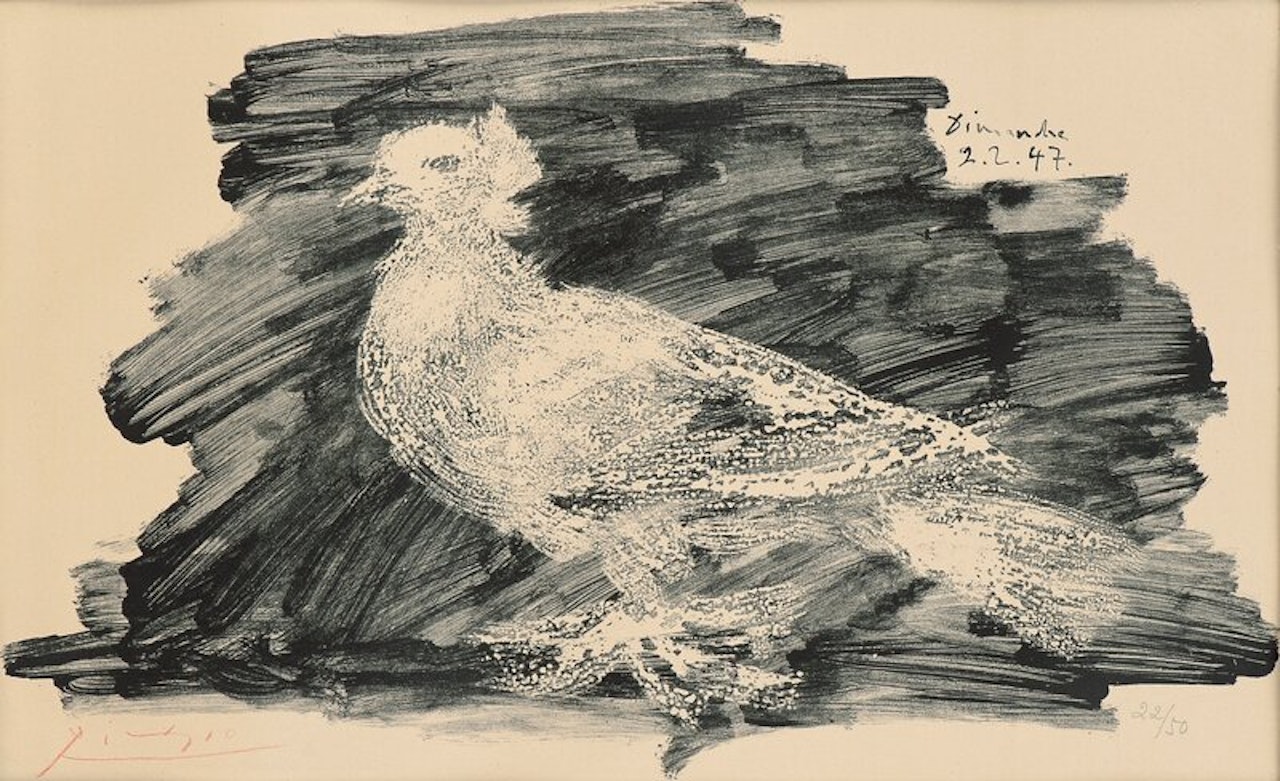 Pigeon au fond gris by Pablo Picasso