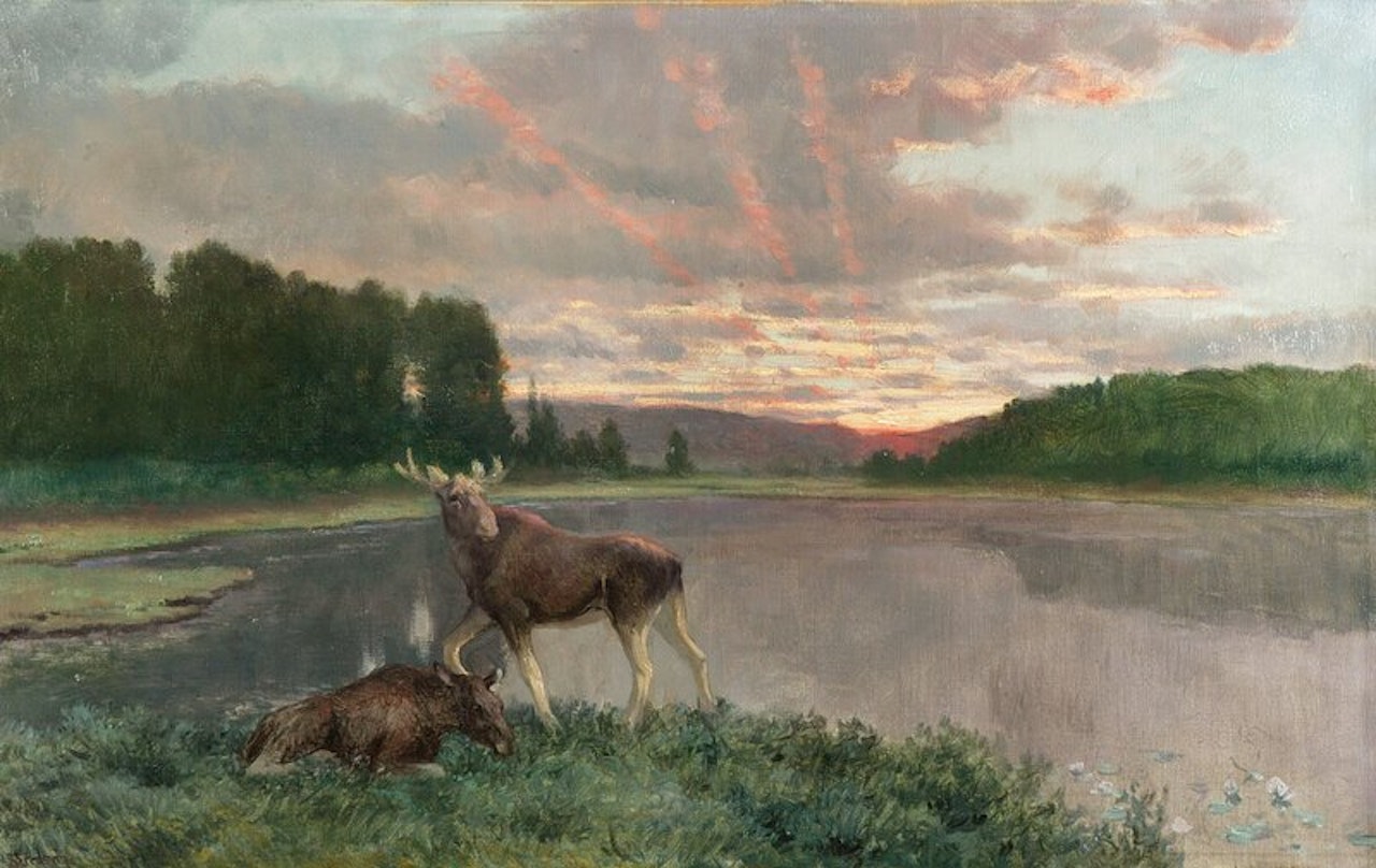 Elg i solrenningen by Christian Skredsvig