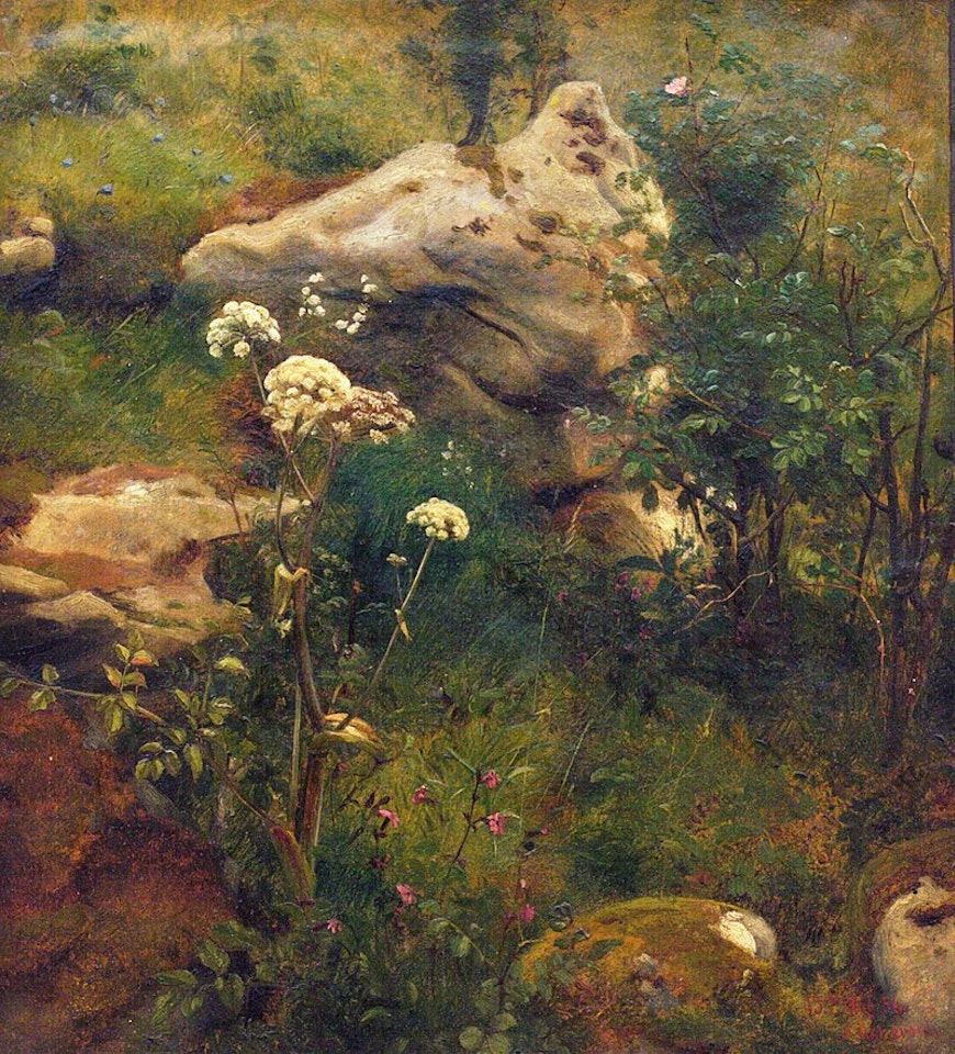 Studie av stein, rosenbusk og markblomster by Anders Monsen Askevold