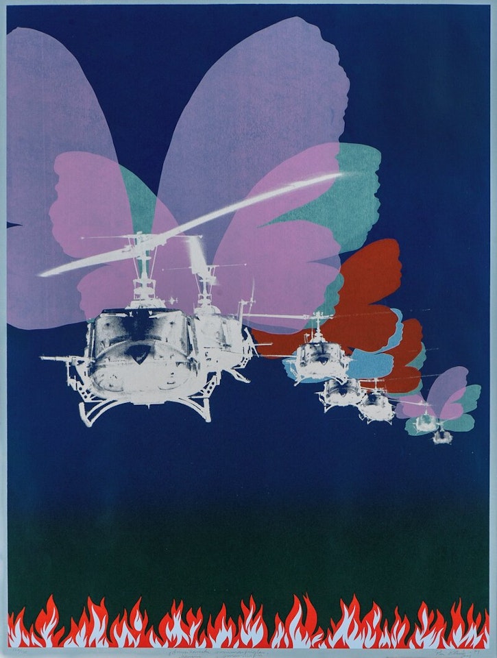 American butterflies by Per Kleiva