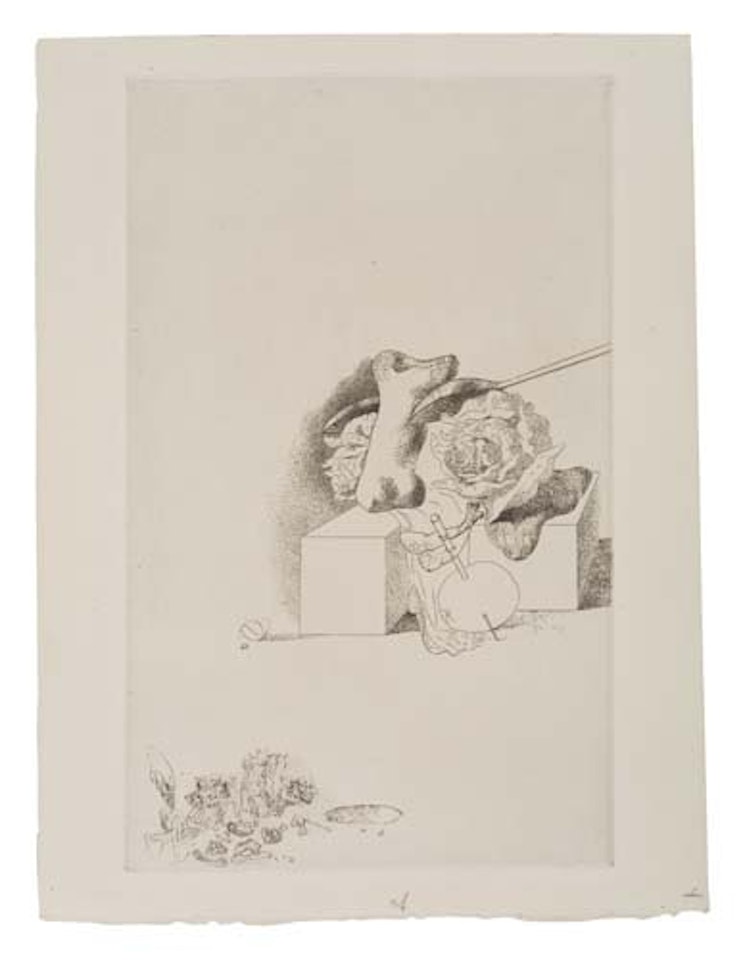 Les Chants de Maldoror: Still Life by Salvador Dali