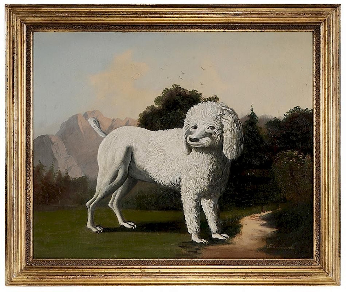 Portrait of a Poodle by German School