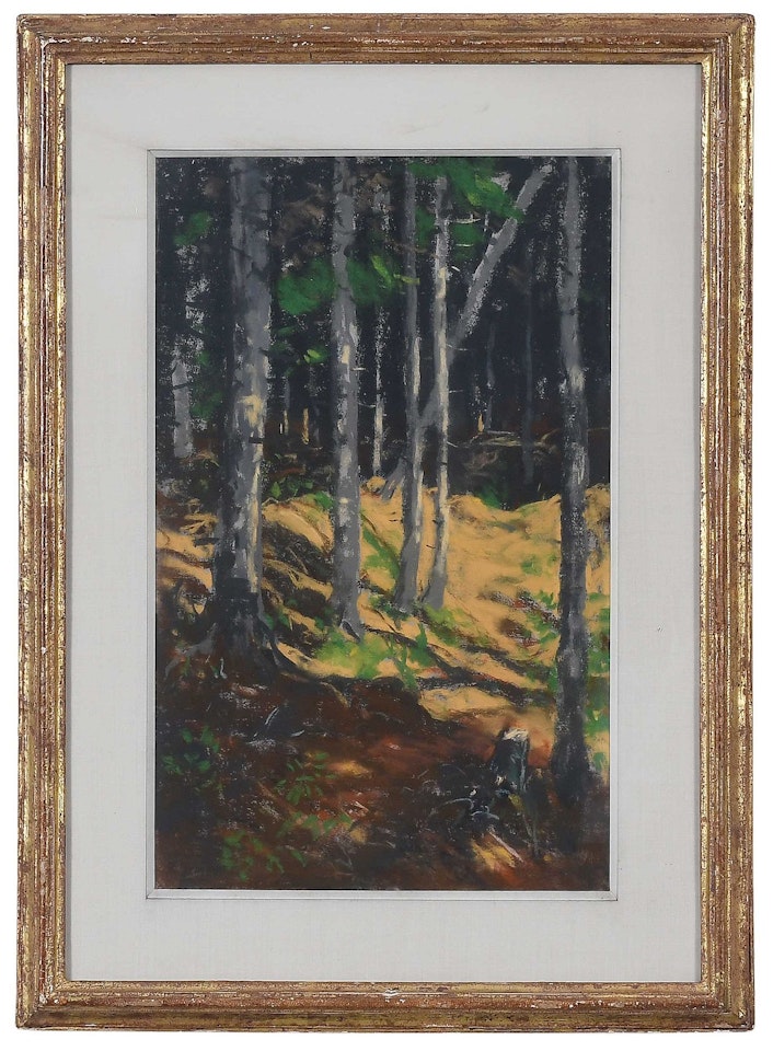 The Woods, Monhegan Island by Robert Henri