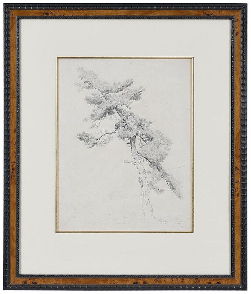 Pine Tree by Alfred Hutty