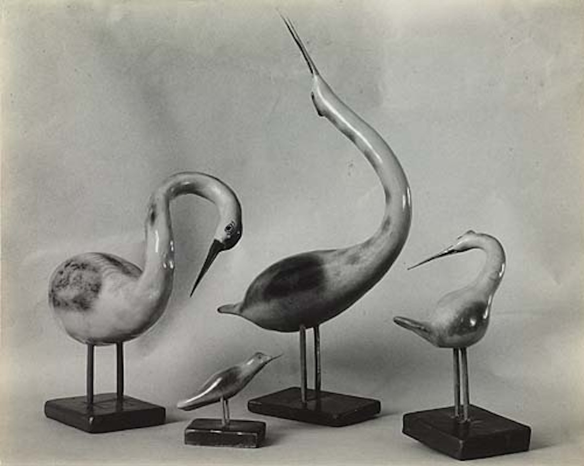 Four birds by Tina Modotti