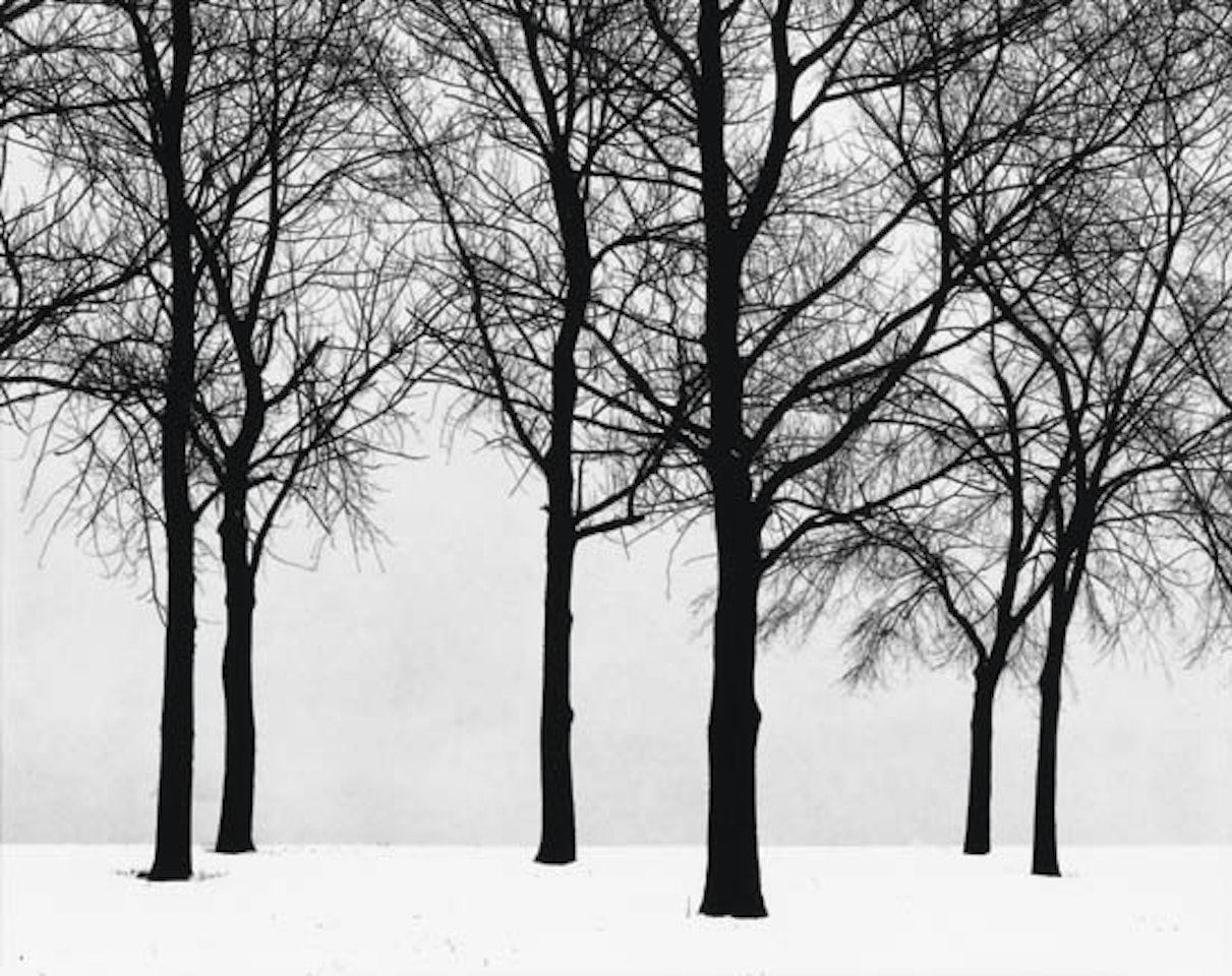 Chicago by Harry Callahan