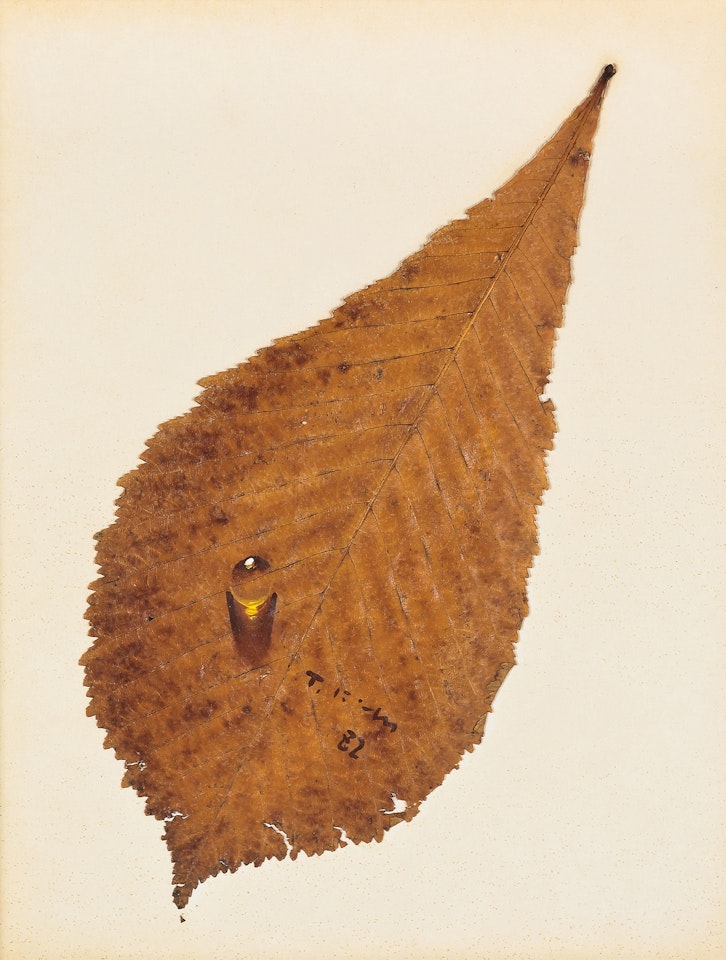 Water Drop by Kim Tschang-Yeul