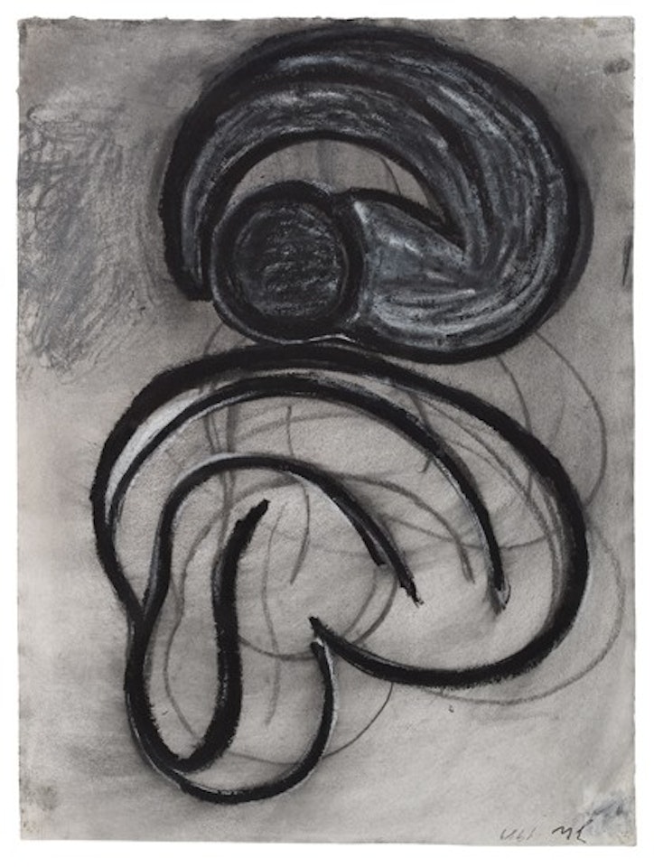 Schema by Terry Winters