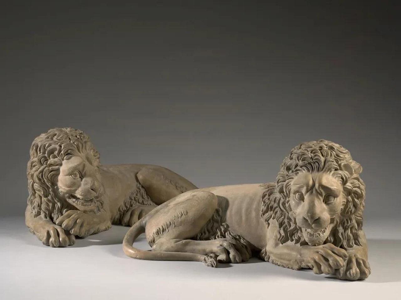 Lions couchés by French School