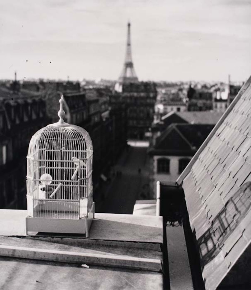 Birdcage, Paris (Rue de Vaugirard) by André Kertész